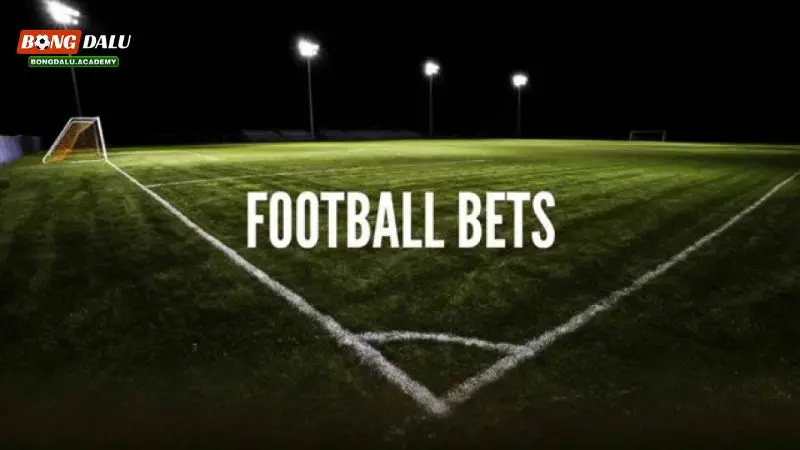 Yêu cầu để trở thành đại lý thầu bóng đá là gì? Có khắt khe không?