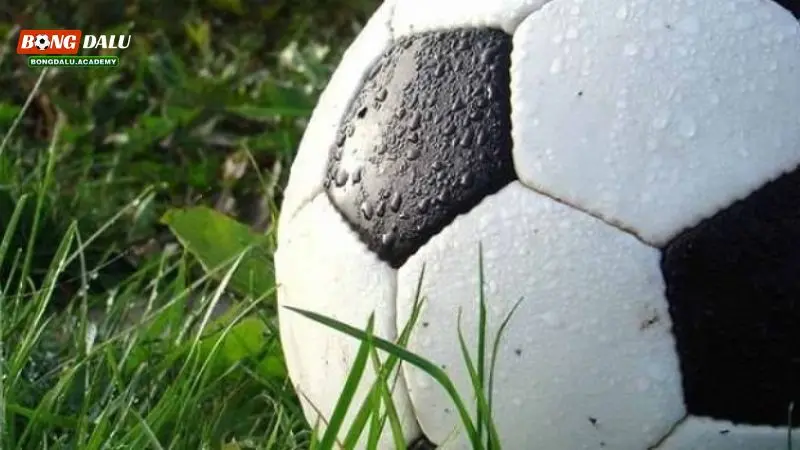  Giải đáp cá độ bóng cỏ là gì chi tiết nhất tại Bongdalu