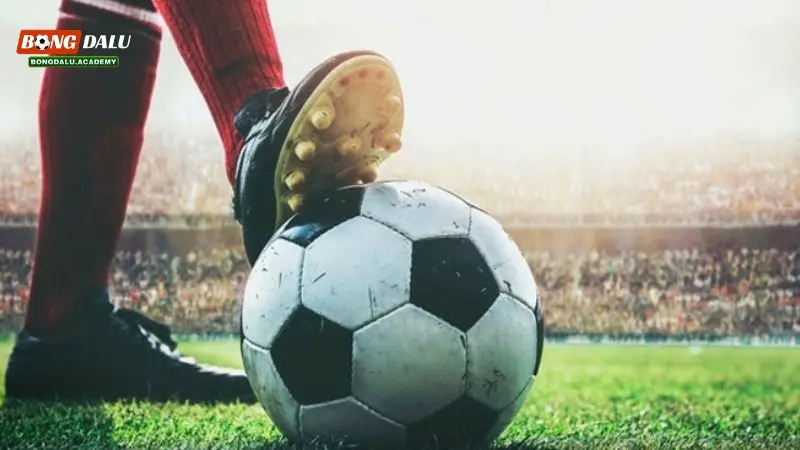 Bí kíp đỉnh cao khi cá độ bóng cỏ là gì?