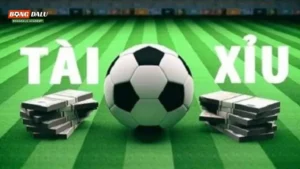 Một số lưu ý khi cá độ tài xỉu bóng đá tại nhà cái