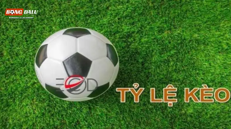 Một kèo nhà cái phổ biến hiện nay