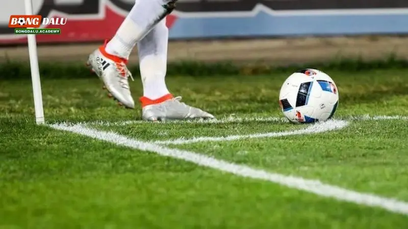 Vì sao nên chơi cá cược kèo rung?