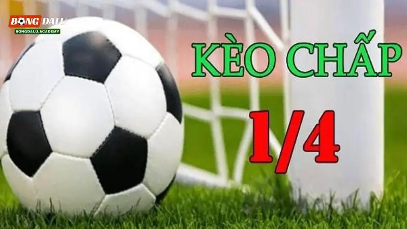 kèo 1/4 là gì trở thành kiến thức cơ bản cược thủ cần biết
