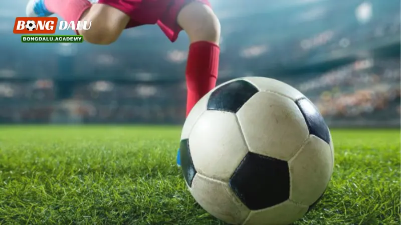 Các lý do nên lựa chọn xem Tỷ lệ kèo trực tiếp tại Bongdalu